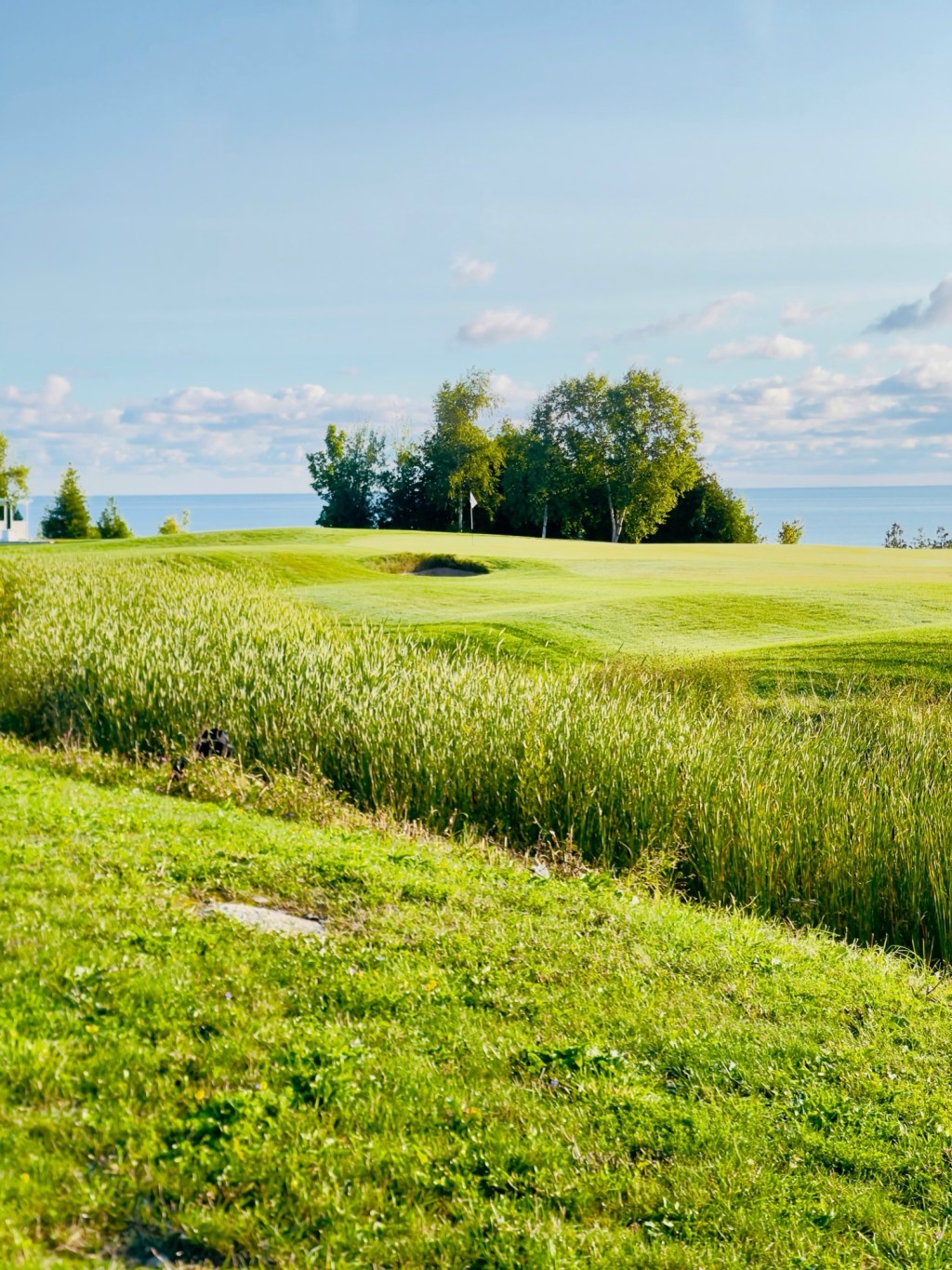 Golf on Georgian&nbsp;Bay
