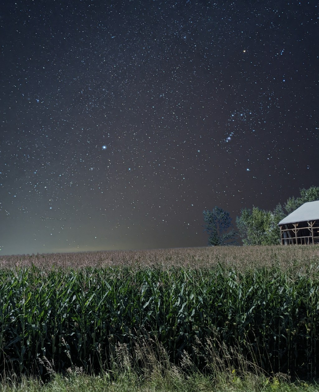 Orion Constellation