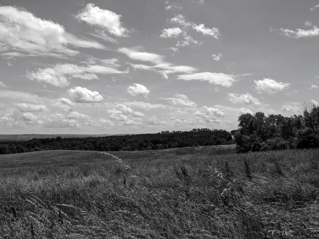 Meaford