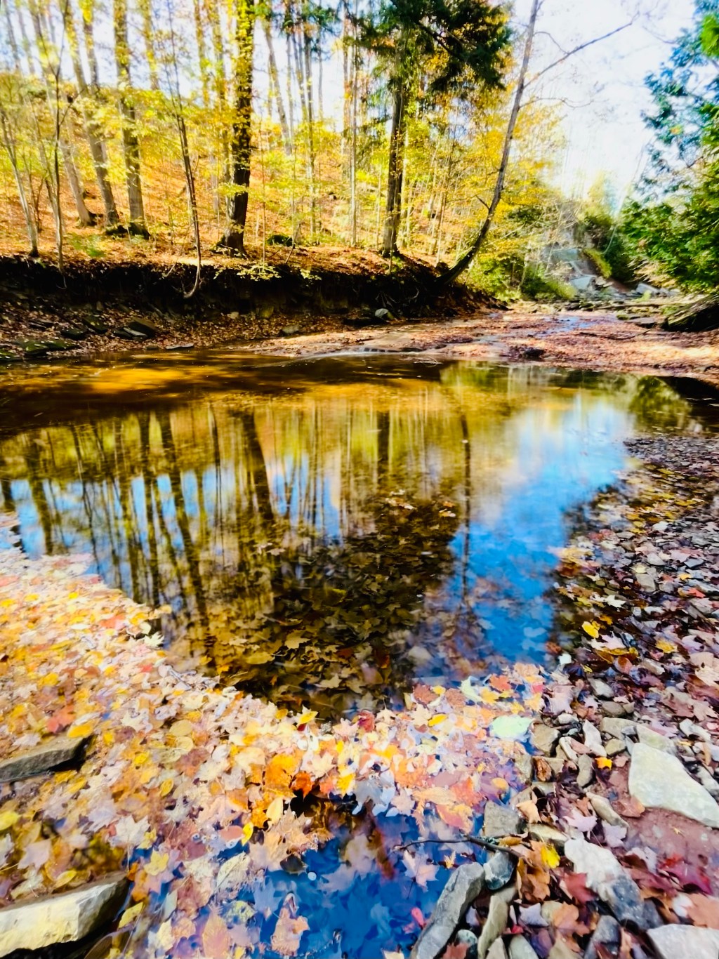 Flow of the&nbsp;River