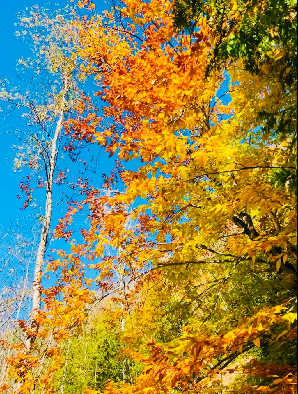 Indian Falls